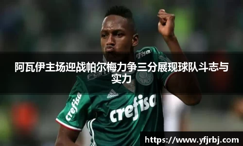 mk体育